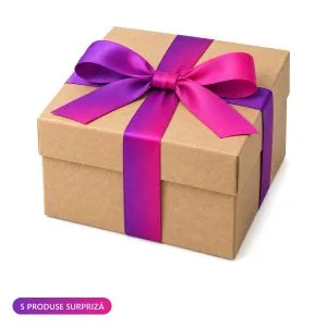 Mystery Box „Joc de Putere” – 5 produse surpriză BDSM pentru cupluri