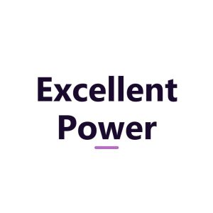 Excellent Power Logo Excellent Power